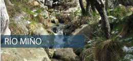 Río Miño