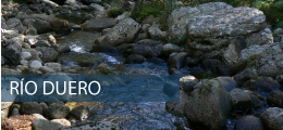 Río Duero