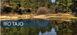 Río Tajo