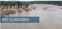 Río Guadiana