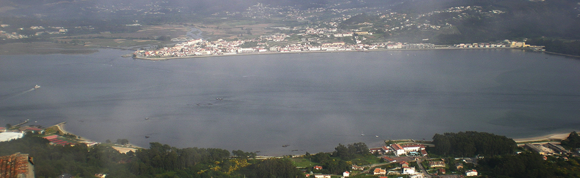 Banner1
