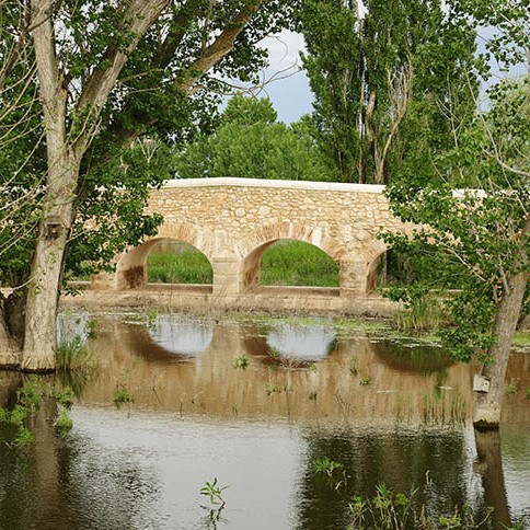 Estrategias Marinas de España