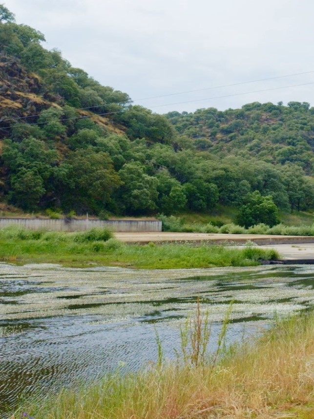 Calidad de las Aguas Miño