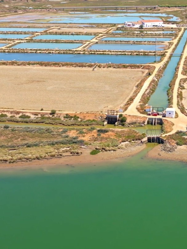 Presa Miño