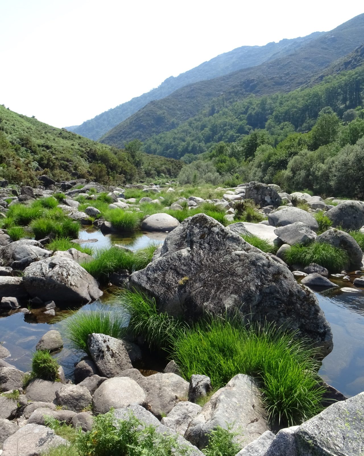 Calidad de las Aguas Miño