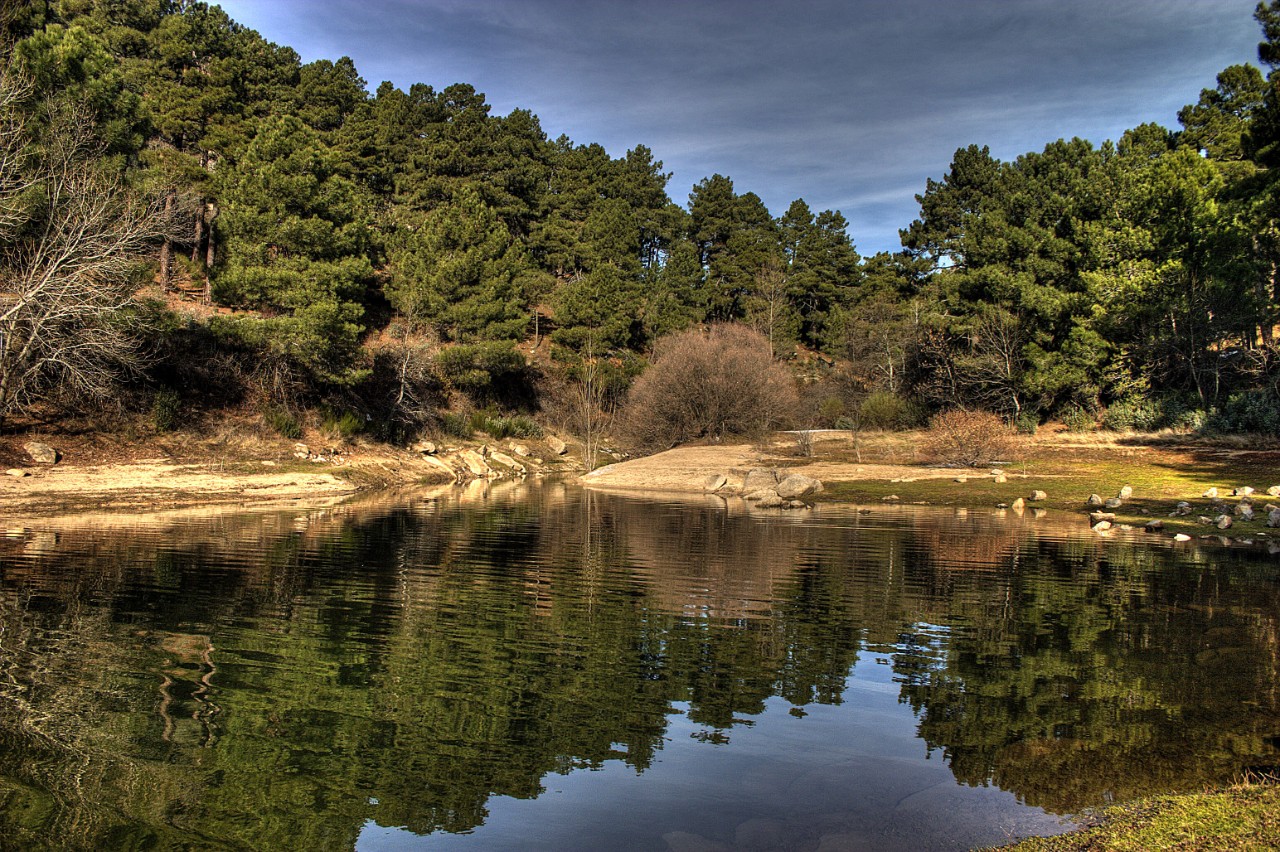 Tajo