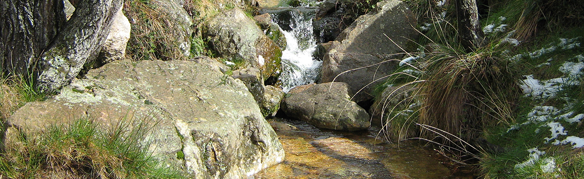 paisaje 6