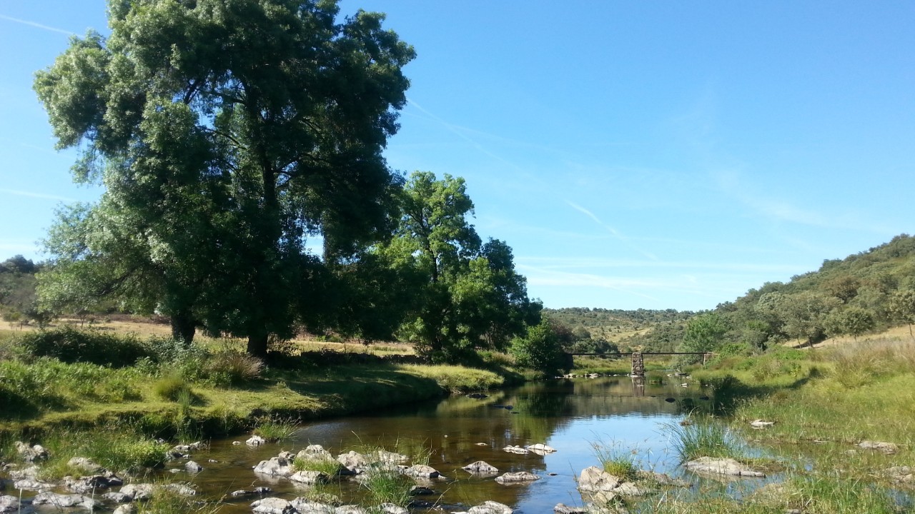 Tajo